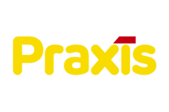 Praxis B.V. - photo 0